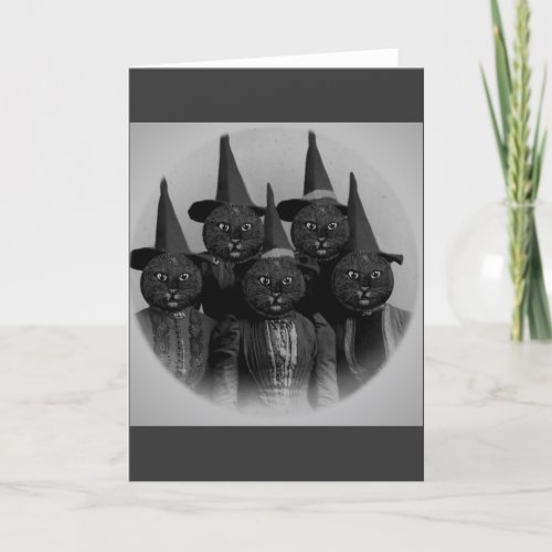 Vintage Black CatWitches Card