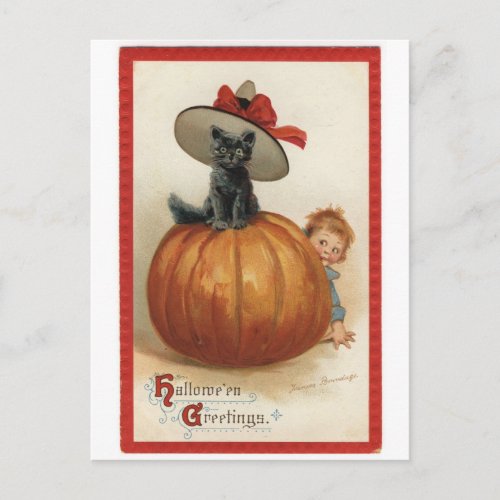 Vintage Black Cat with Witch Hat Postcard