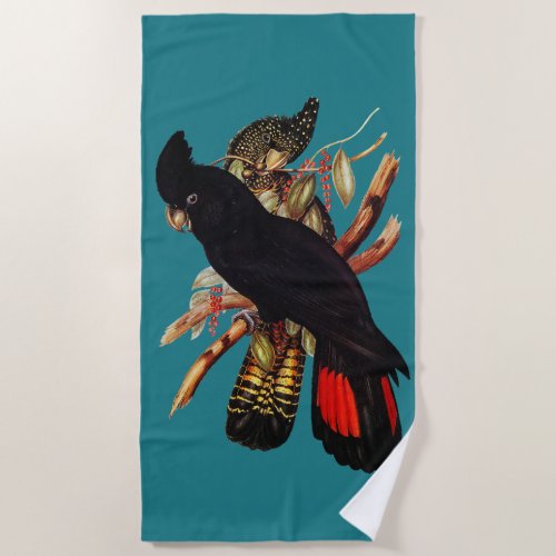 Vintage Black Cockatoo  Elizabeth Gould 1800s Pos Beach Towel