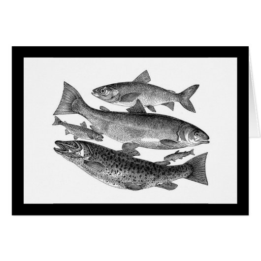 Vintage Black Fish (Front Horizontal)