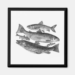 Vintage Black Fish Print Magnet