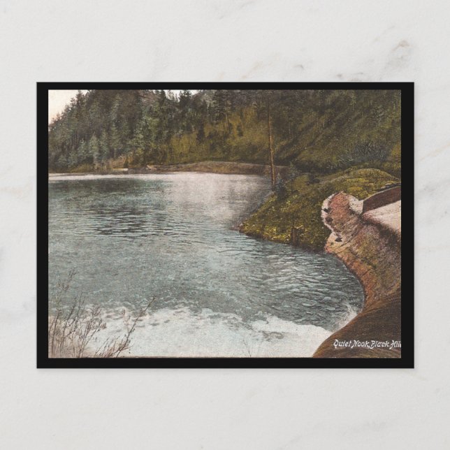 Vintage Black Hills Postcard (Front)