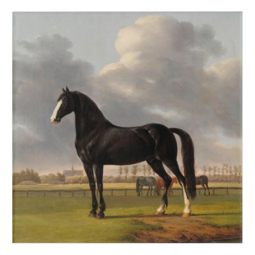 Vintage Black Horse with a Blaze Acrylic Print