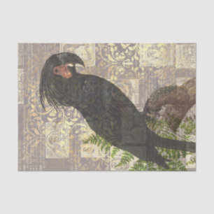 Vintage Black Parrot Tissue Paper