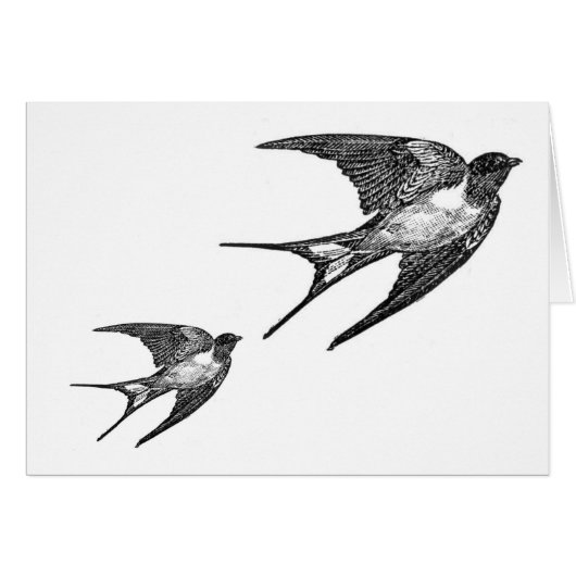 Vintage Black Swallow Design Cards (Front Horizontal)