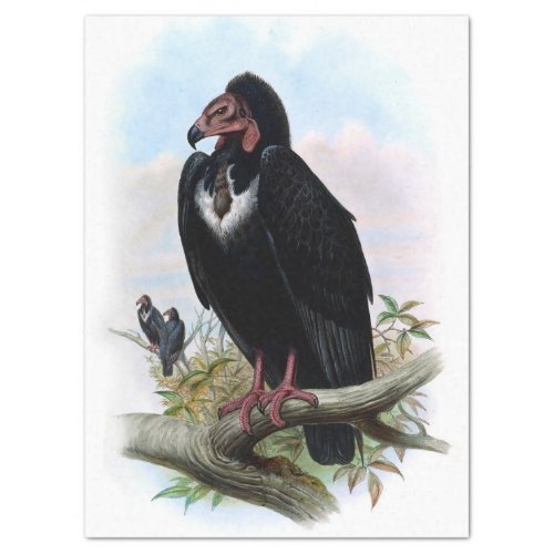 Vintage Black Vulture Bird Decoupage Tissue Paper
