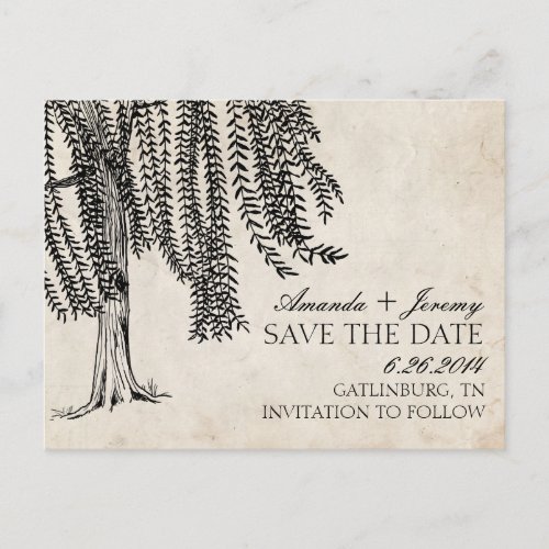 Vintage Black Weeping Willow Save The Date Announcement Postcard