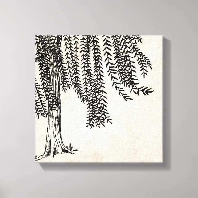 Vintage Black Weeping Willow Tree Canvas Print (Front)