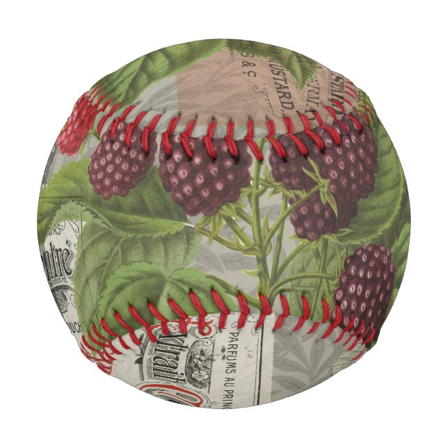 Vintage Blackberries & French Ephemera Art Collage Baseball (Front)