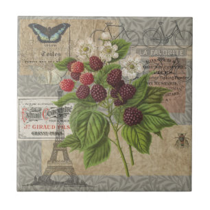 Vintage Blackberries & French Ephemera Art Collage Ceramic Tile