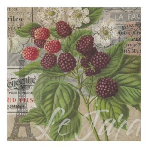 Vintage Blackberries & French Ephemera Art Collage Faux Canvas Print
