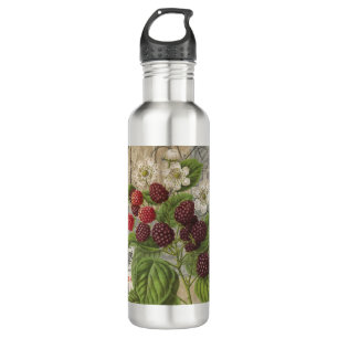 Vintage Blackberries & French Ephemera Art Collage Stainless Steel Water Bottle