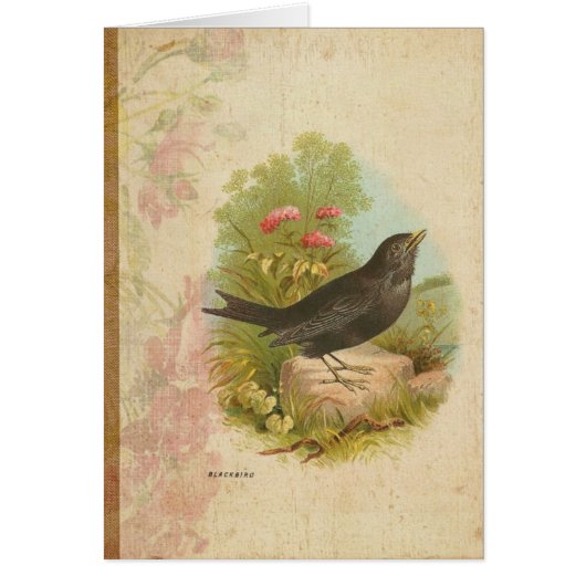 Vintage Blackbird Cards (Front)