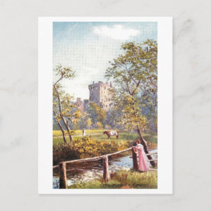 Vintage Blarney Castle, Ireland,  Postcard