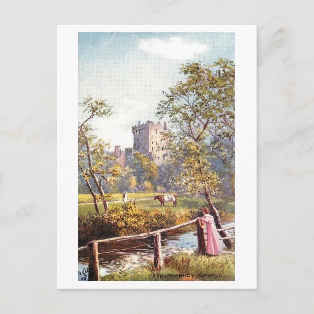 Vintage Blarney Castle, Ireland,  Postcard (Front)