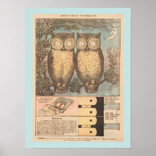 Vintage blinking owl cute fall craft  poster