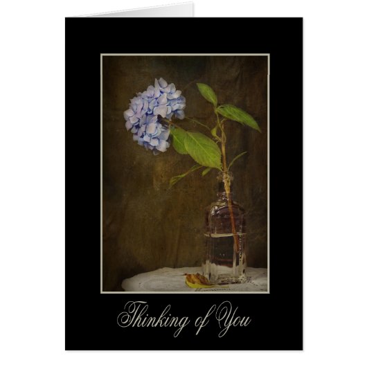 Vintage Bloom (Front)