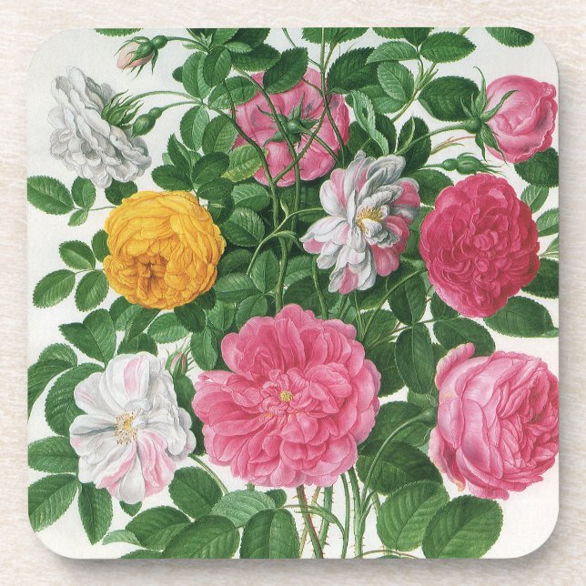 Vintage Blooming Flowers, Spring Garden Roses Beverage Coaster (Front)