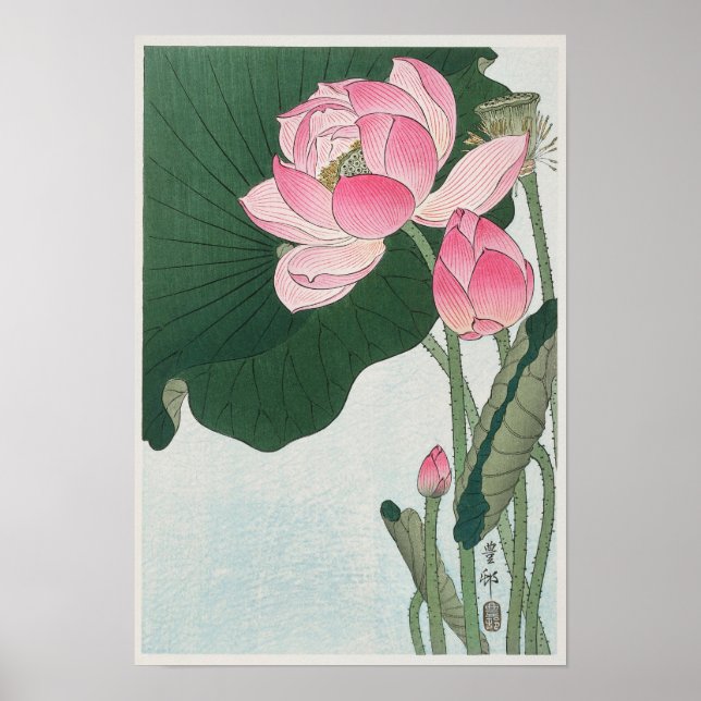 Vintage Blooming Lotus Flowers Drawing Poster (Front)