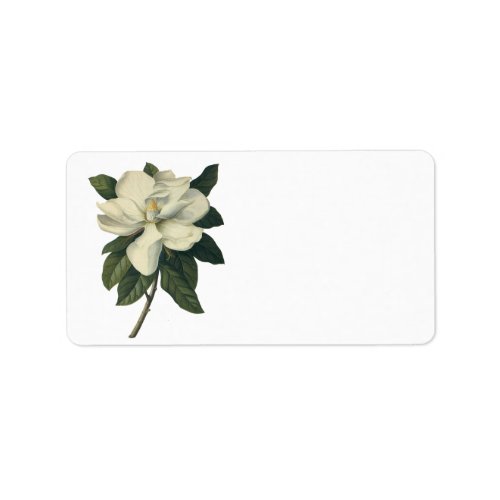 Vintage Blooming White Magnolia Blossom Flowers Label