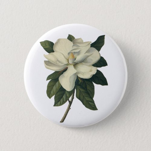 Vintage Blooming White Magnolia Blossom Flowers Pinback Button