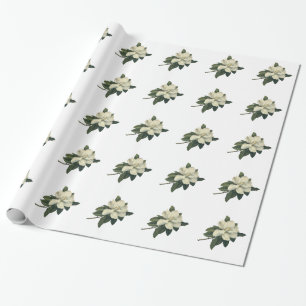 Vintage Blooming White Magnolia Blossom Flowers Wrapping Paper