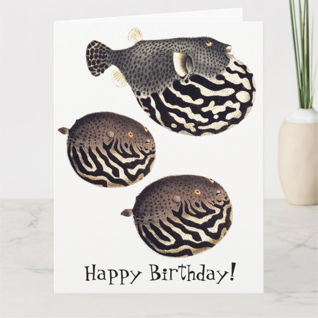 Vintage Blowfish Fish Happy Birthday Big Card (Front)