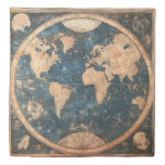 Vintage Blue and Gold Double Hemisphere World Map Duvet Cover