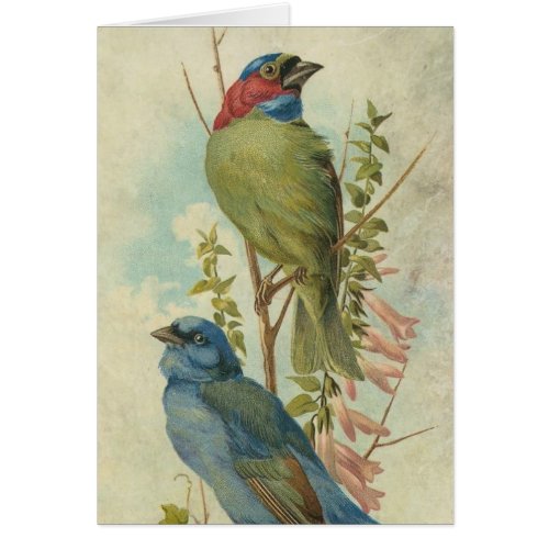 Vintage Blue and Green Birds All Ocassion
