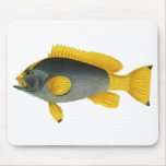 Vintage Blue and Yellow Grouper Fish, Marine Life Mouse Pad
