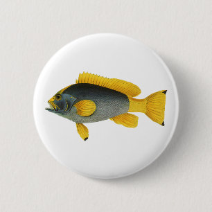 Vintage Blue and Yellow Grouper Fish, Marine Life Pinback Button