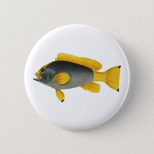 Vintage Blue and Yellow Grouper Fish Marine Life Pinback Button