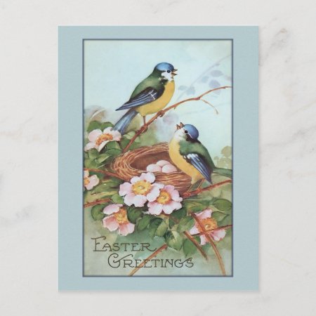 Vintage Blue Bird Easter Holiday Postcard