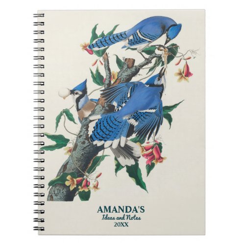 Vintage Blue Birds Birdwatching Lover Gift Notebook