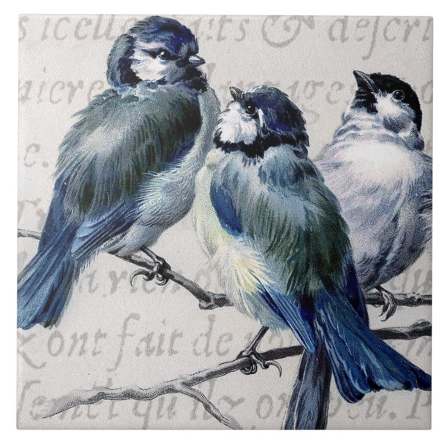 Vintage Blue Birds Collage - Customized Bluebirds Ceramic Tile (Front)