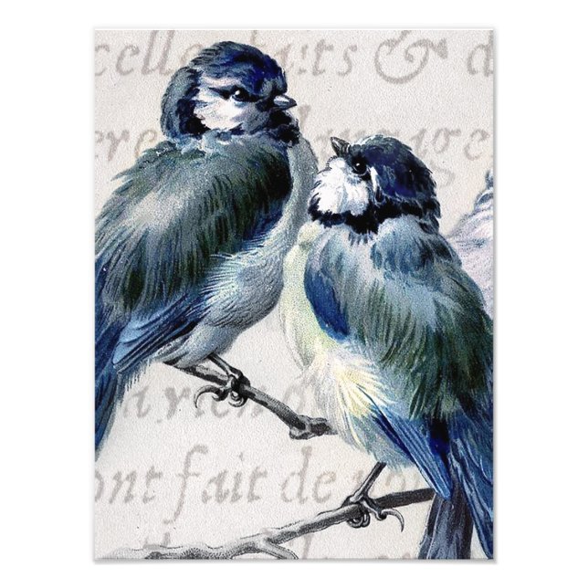 Vintage Blue Birds Collage - Customized Bluebirds Photo Print (Front)