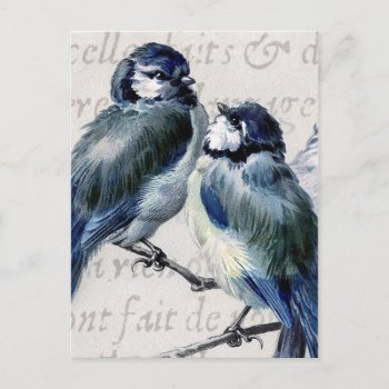 Vintage Blue Birds Collage - Customized Bluebirds Postcard by SilverSpiral at Zazzle