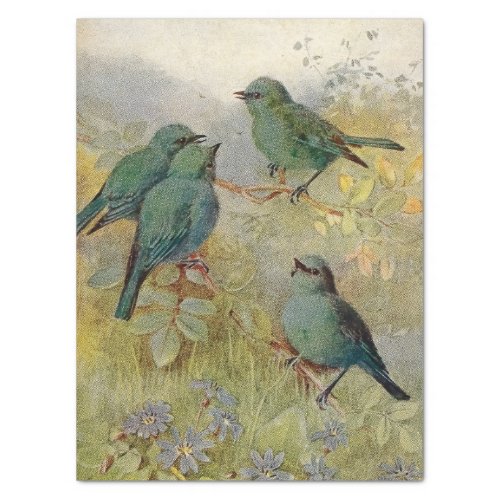 Vintage Blue Birds on a Branch Greenery Tissue Paper