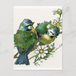 Vintage Blue Birds Postcard