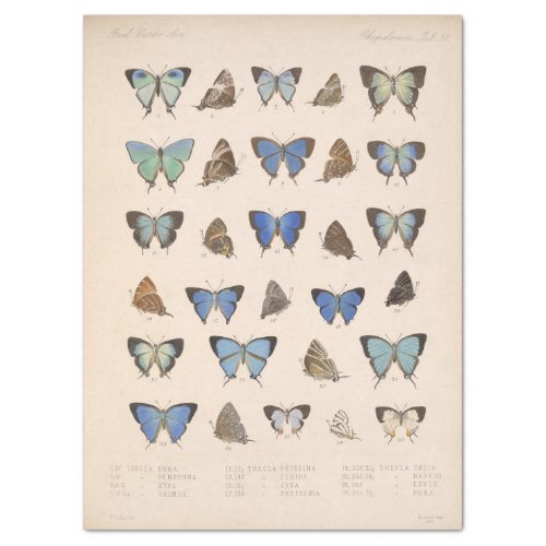 Vintage Blue Butterflies Ephemera Decoupage Teal T Tissue Paper