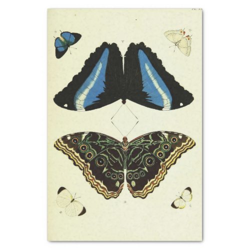 Vintage Blue Butterfly Ephemera Decoupage Script Tissue Paper