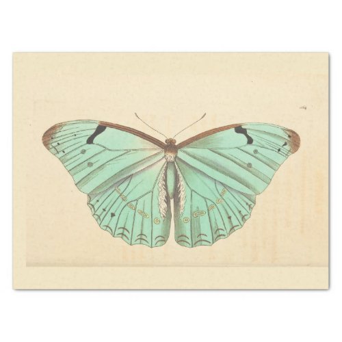 Vintage Blue Butterfly Ephemera Decoupage Teal Tis Tissue Paper