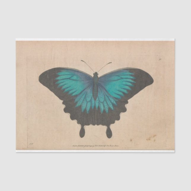 Vintage Blue Butterfly Ephemera Decoupage Teal Tissue Paper (Front)