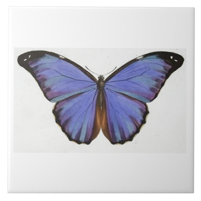 Vintage Blue Butterfly Tile (Front)