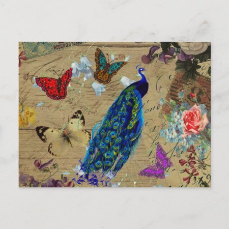 Vintage Blue Colorful Peacock Cute Butterfly Postcard