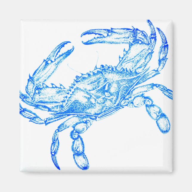Vintage  blue  crab magnet (Front)