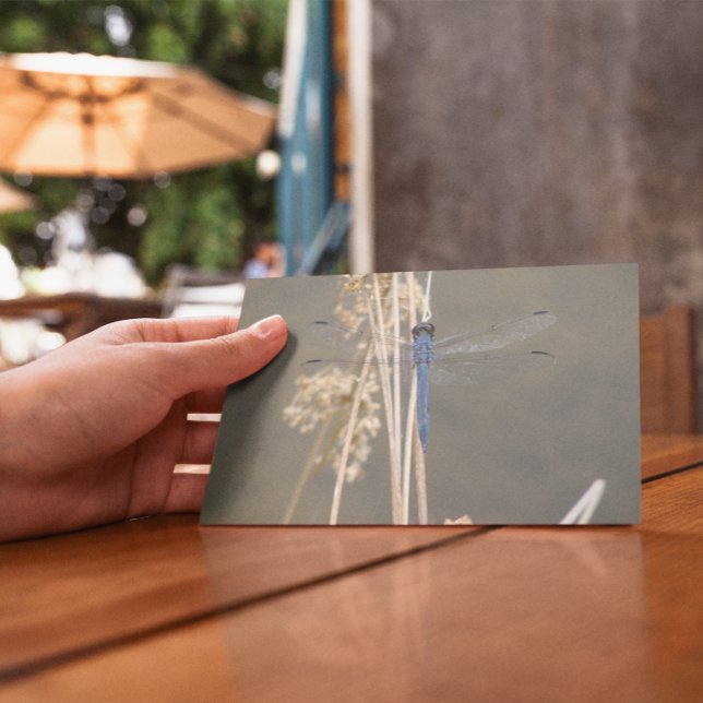 Vintage Blue Dragonfly Illustration Botanical Art Postcard (Creator Uploaded)