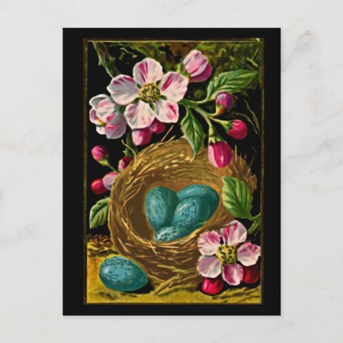 Vintage Blue Eggs in Nest with Flowering Branches Postcard