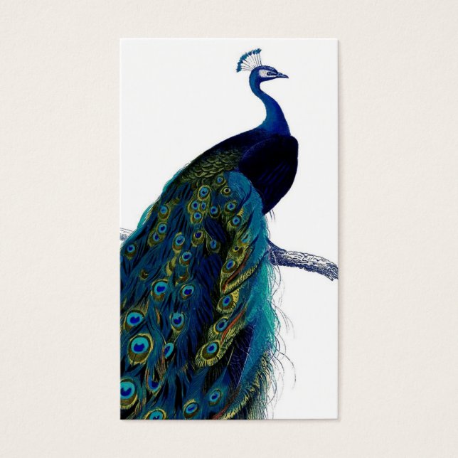 Vintage Blue Elegant Colorful Peacock (Front)