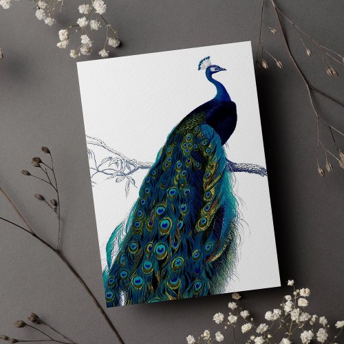 Vintage Blue Elegant Colorful Peacock Invitation